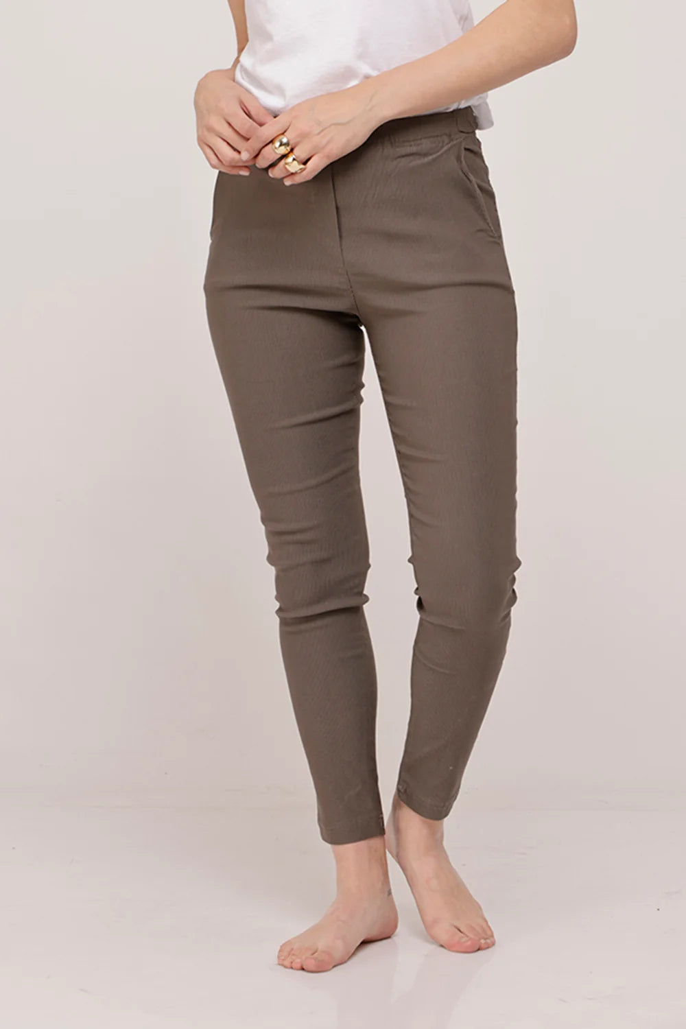 Barbara Pants Brown Stripe